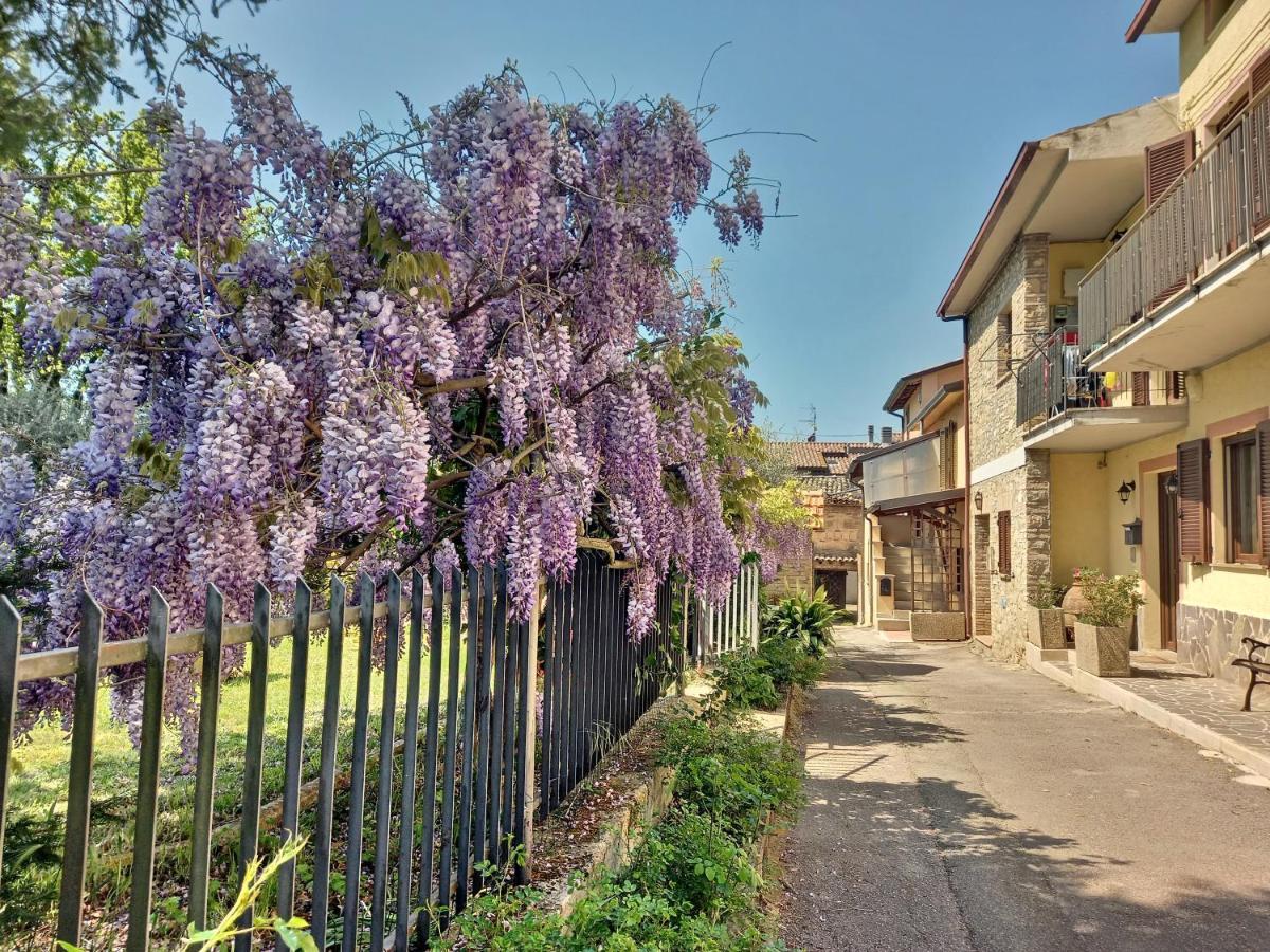 B&B Torrematta Assisi Exterior photo