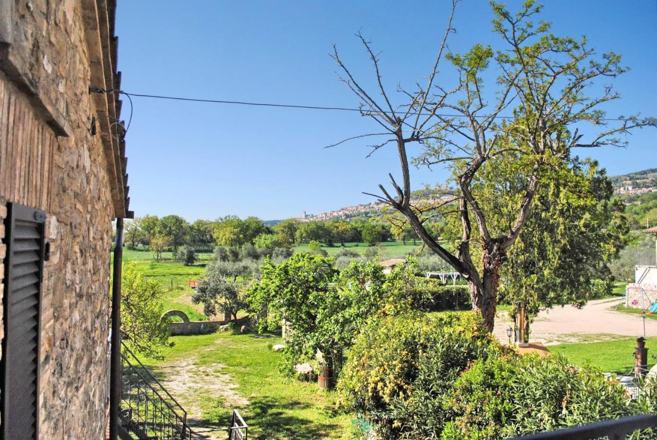 B&B Torrematta Assisi Exterior photo