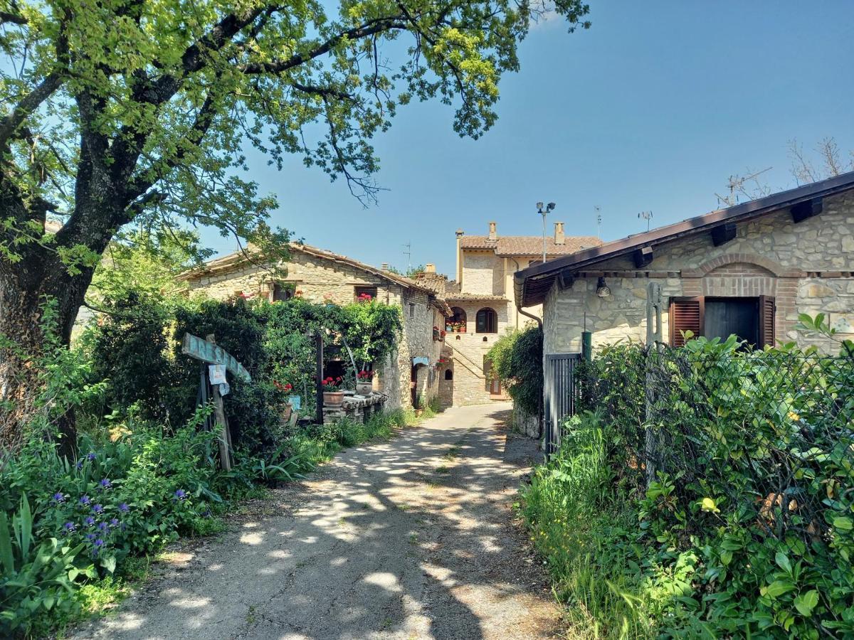 B&B Torrematta Assisi Exterior photo
